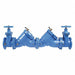 Double Check Valve Watts709 6in 16inH