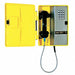 Weather Resistant Telephone VoIP