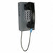 Correctional Telephone Gray