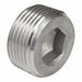 Threaded Plug SS Overall L 4 1/2in