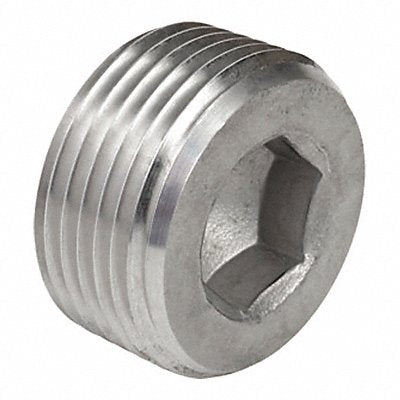 Threaded Plug SS Overall L 1 11/16in