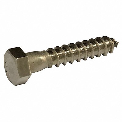 Hex Lag Screw 5/16 18-8SS 2 L PK600