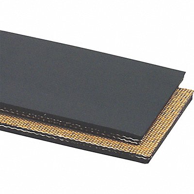Conveyor Belt 2Ply 220 Ntrle Blk 30InW