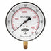 Gauge Pressure 4-1/2in. 0 to 600 psi