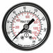 Gauge Pressure 1-1/2in. 0 to 160 psi