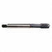 Tap Straight Flute M10-1.00 Plug