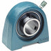 Pillow Block Bearing 1 in Bore Cast Iron