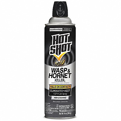 Wasp/Hornet Killer 14 oz Spray Can