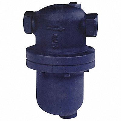 Steam Separator 1-1/2 In 300 psi