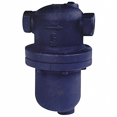 Steam Separator 1-1/4 In 300 psi