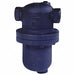 Steam Separator 1-1/4 In 300 psi