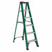 Stepladder Fg 6 ft 225 lb.