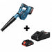 Cordless Blower Kit 18V