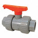 Union Ball Valve CPVC 3/4 in