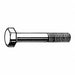 Structural Bolt Fstnr L 65 mm PK50