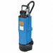 Plug-In Utility Pump 3 HP 240VAC