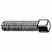 ScktStScrw CupPt 1/4 -20 1.75 L PK100