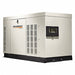 Auto Standby Generator 30 LP/30 NGkW