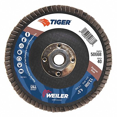 50668 Weiler Disks