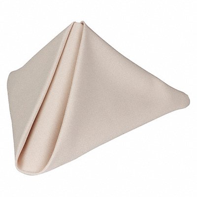 Napkin 18 x 18 in Beige PK12