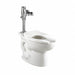 Flush Valve Toilet 10 or 12 Rough-In