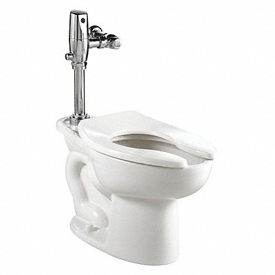 Flush Valve Toilet 10 or 12 Rough-In
