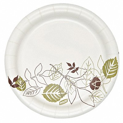 Disp Paper Plate 6 7/8 in Multi PK500