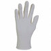 Exam Glove Sterling L PK2000