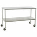 Mobile Instrument Table 58x24x34 w/Shelf