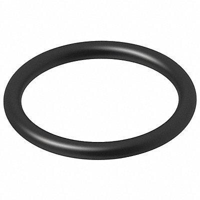 O-Ring 3.75 x 4.00 x 0.13 in