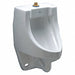 Washout Urinal Wall Top Spud 0.125