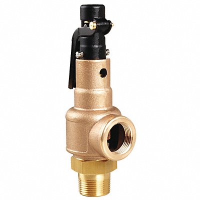 Safety Valve 150 psi 1/2 MNPT x 3/4 FNPT