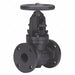 Globe Valve 2-1/2 Iron Flange 125 psi