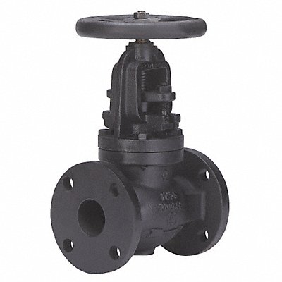 Globe Valve 8 Cast Iron Flange 125 psi