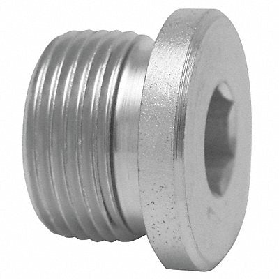Hollow Hex Plug 316L SS M20 x 1 1/2 in