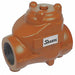 Swing Check Valve Carbon Steel 2 FNPT