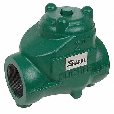 Swing Check Valve Iron 3 FNPT