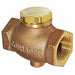 Check Valve 3/4 in
