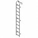 Storage Tank Ladder 10 Ft.