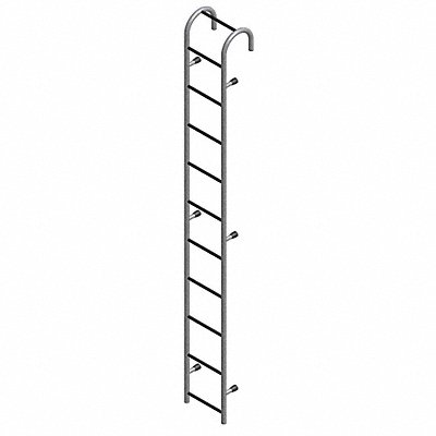 Storage Tank Ladder 12 Ft.