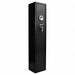 Gun Safe 1.72 cu ft Biometric