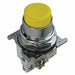 H4399 Non-Illuminated Push Button Yellow