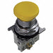 H4402 Non-Illuminated Push Button Yellow