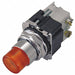 H4387 Illuminated Push Button 30mm 1NO/1NC