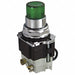 H4420 Pilot Light Press 120VAC Green