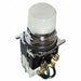 H4420 Pilot Light Press 120VAC White