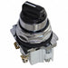 Non-Illuminated Selector Switch 2NO Cam3