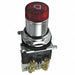 Selector Switch Illum 2 Pos Knob 30mm