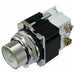 H4394 Press To Test Pilot Light 480V