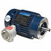 Motor 2 HP 3500 rpm 145TC 230/460V